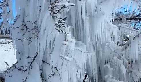 Darende'de Aşırı Soğuklar Kayısı Ağaçlarını Buzla Kapladı Darende’de Aşırı Soğuklar Kayısı Ağaçlarını Buzla Kapladı
