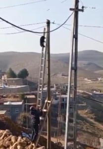 diyarbakirda-kediyi-kurtarma-operasyonu-jLPswPAg.jpg