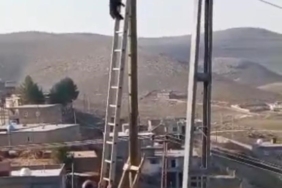 diyarbakirda-kediyi-kurtarma-operasyonu-jLPswPAg.jpg