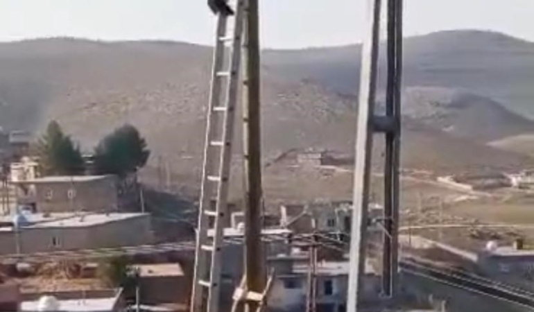 diyarbakirda-kediyi-kurtarma-operasyonu-jLPswPAg.jpg