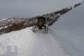 elazigda-505-koy-yolu-ulasima-kapandi-AyWD7mlu.jpg