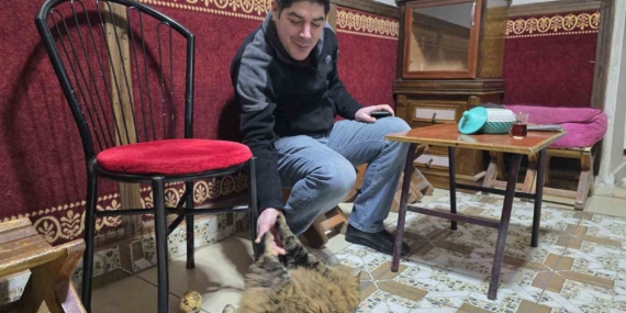 Elazığ'da Bıdık Kedisi ve Esnafın Sıcak Dostluğu Elazığ’da Bıdık Kedisi ve Esnafın Sıcak Dostluğu