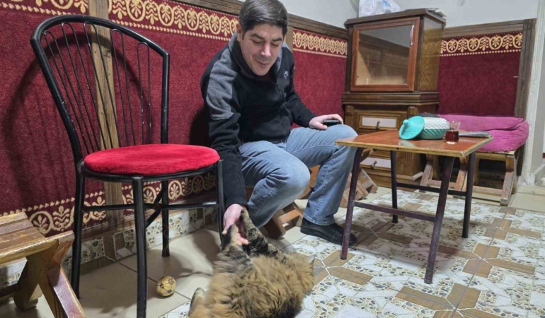 elazigda-bidik-kedisi-ve-esnafin-sicak-dostlugu-wBwc4iqA.jpg