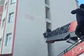 Elazığ'da İtfaiye Ekipleri Kargayı Kurtardı elazigda-itfaiye-ekipleri-kargayi-kurtardi-B2lcb6WW.jpg
