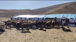 elazigda-karantina-uygulanan-3-ilcede-ekiplerin-calismalari-suruyor-kdWdgsIF.jpg