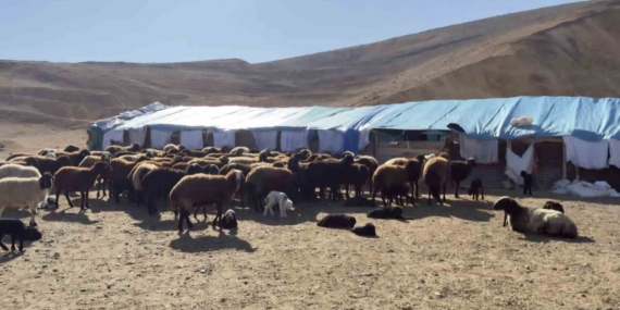 Elazığ’da karantina uygulanan 3 ilçede ekiplerin çalışmaları sürüyor