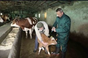 elazigda-sap-hastaligina-karsi-asilamalar-ve-saglik-taramalari-ehJfG6Q2.jpg