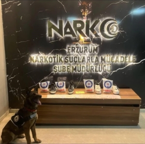 erzurumda-narkotik-operasyonlari-11-kilo-615-gram-uyusturucu-ele-gecirildi-U6aV15u9.jpg
