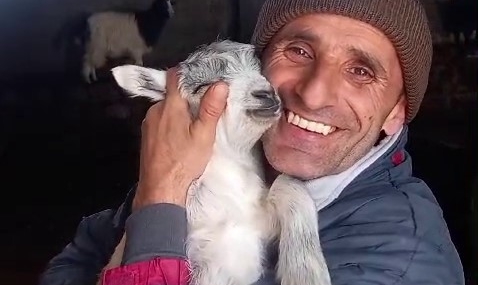 Erzurumlu Çobanın Kuzusuna Olan Derin Sevgisi Erzurumlu Çobanın Kuzusuna Olan Derin Sevgisi