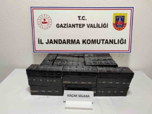 gaziantepte-jandarma-ekiplerinden-huzur-guven-uygulamasi-CXItMKXZ.jpg