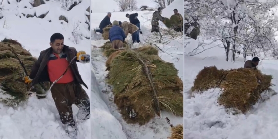 Hakkari'de Geleneksel Besicilik Uygulamaları Hakkari’de Geleneksel Besicilik Uygulamaları