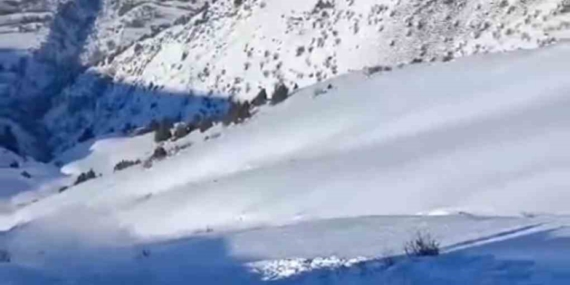 Hakkari'de Köylülerden Çığ İndirme Operasyonu Hakkari’de Köylülerden Çığ İndirme Operasyonu