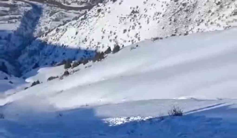 hakkaride-koylulerden-cig-indirme-operasyonu-YA29vlN8.jpg