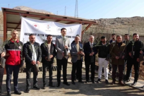 hasankeyfte-zeytin-yetistiriciligine-destek-projesi-ddwKe7Wp.jpg