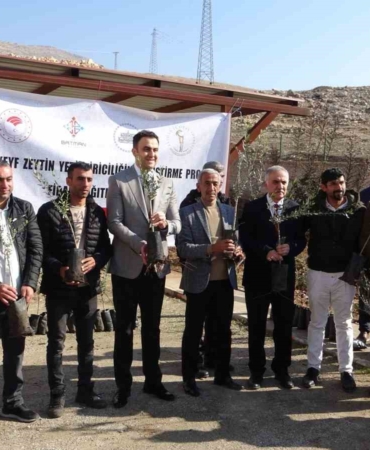 hasankeyfte-zeytin-yetistiriciligine-destek-projesi-ddwKe7Wp.jpg