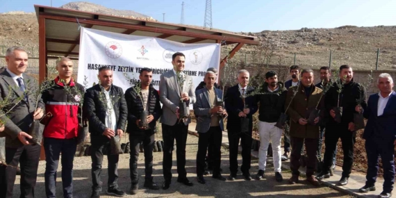 Hasankeyf'te Zeytin Yetiştiriciliğine Destek Projesi Hasankeyf’te Zeytin Yetiştiriciliğine Destek Projesi