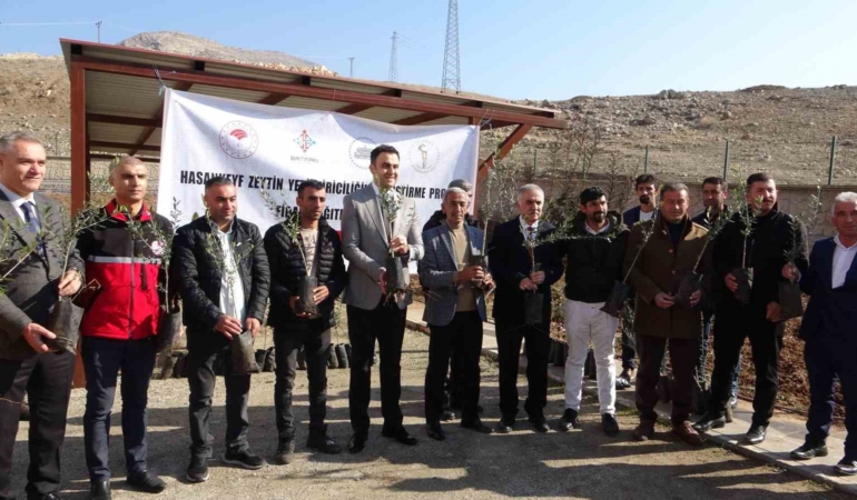hasankeyfte-zeytin-yetistiriciligine-destek-projesi-ddwKe7Wp.jpg