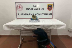 igdirda-kacakcilik-operasyonu-1-kilogram-kubar-esrar-ele-gecirildi-VWJAHDMO.jpg