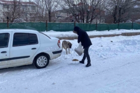 karliovada-sokak-hayvanlarina-destek-veren-ozgur-karadas-7srbkCwG.jpg