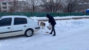 karliovada-sokak-hayvanlarina-destek-veren-ozgur-karadas-7srbkCwG.jpg