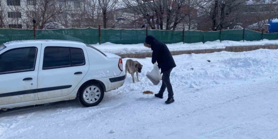 Karlıova'da Sokak Hayvanlarına Destek Veren Özgür Karadaş Karlıova’da Sokak Hayvanlarına Destek Veren Özgür Karadaş