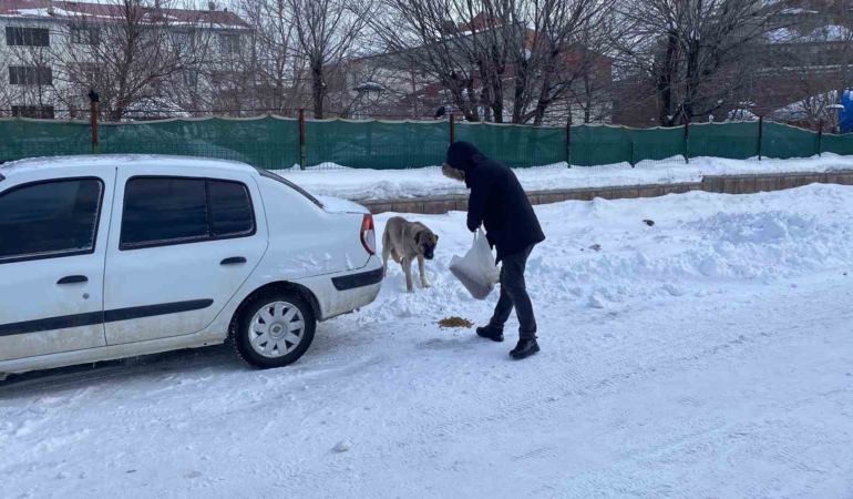 karliovada-sokak-hayvanlarina-destek-veren-ozgur-karadas-7srbkCwG.jpg