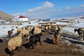 kiskili-koyu-doganin-essiz-guzelligi-ve-macera-dolu-aktiviteleri-9jHxYD19.jpg