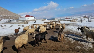 kiskili-koyu-doganin-essiz-guzelligi-ve-macera-dolu-aktiviteleri-9jHxYD19.jpg