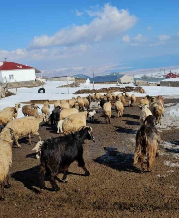 kiskili-koyu-doganin-essiz-guzelligi-ve-macera-dolu-aktiviteleri-9jHxYD19.jpg