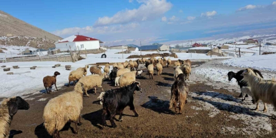 Kışkılı Köyü: Doğanın Eşsiz Güzelliği ve Macera Dolu Aktiviteleri Kışkılı Köyü: Doğanın Eşsiz Güzelliği ve Macera Dolu Aktiviteleri