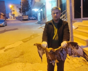 kurtalanda-kartal-kurtarma-operasyonu-Jxu5AAN6.jpg