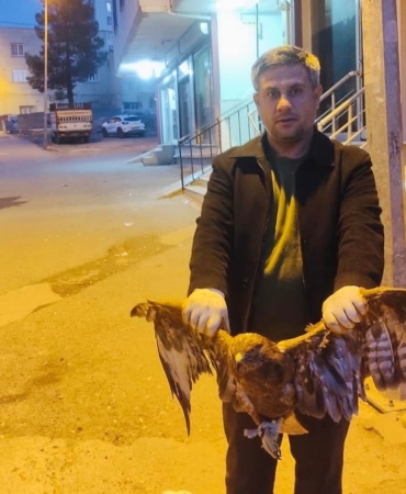 kurtalanda-kartal-kurtarma-operasyonu-Jxu5AAN6.jpg