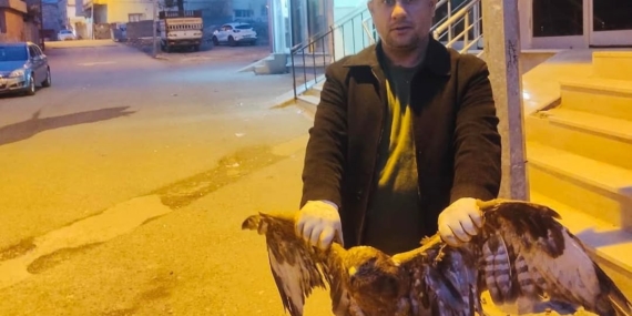 Kurtalan'da Kartal Kurtarma Operasyonu Kurtalan’da Kartal Kurtarma Operasyonu