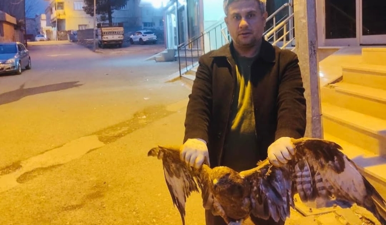 kurtalanda-kartal-kurtarma-operasyonu-Jxu5AAN6.jpg