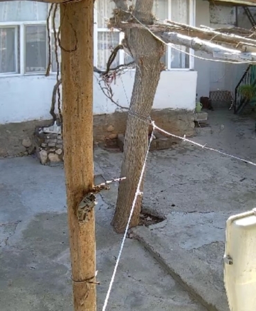 Mardin'de Hırsızlık Girişimi Başarısız Oldu mardinde-hirsizlik-girisimi-basarisiz-oldu-qbPS9rvn.jpg