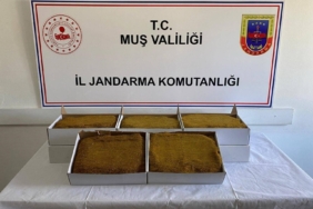 Muş'ta Jandarma Denetimleri: 199 Şahıs Yakalandı musta-jandarma-denetimleri-199-sahis-yakalandi-dw76I3Xu.jpg