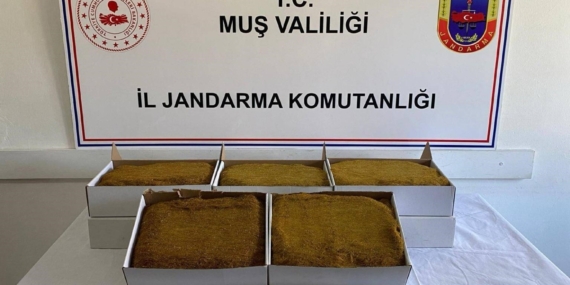 Muş'ta Jandarma Denetimleri: 199 Şahıs Yakalandı Muş’ta Jandarma Denetimleri: 199 Şahıs Yakalandı