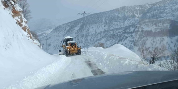 Siirt'te Kar Yağışı Sonrası Yol Açma Çalışmaları Siirt’te Kar Yağışı Sonrası Yol Açma Çalışmaları