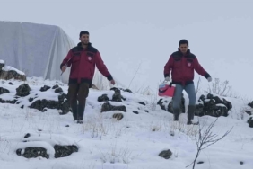 tunceli-cemisgezekte-veteriner-hekimlerin-fedakarligi-LVZ1VHIg.jpg