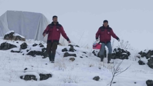 tunceli-cemisgezekte-veteriner-hekimlerin-fedakarligi-LVZ1VHIg.jpg