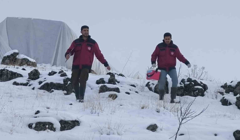 tunceli-cemisgezekte-veteriner-hekimlerin-fedakarligi-LVZ1VHIg.jpg