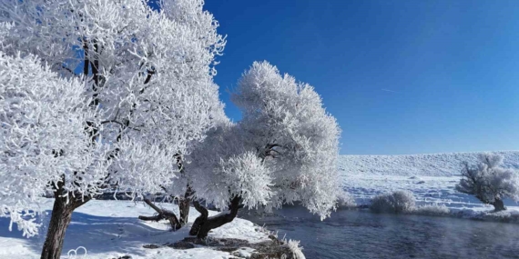 Tunceli Ovacık'ta Beklenen Kar Yağışı Geldi Tunceli Ovacık’ta Beklenen Kar Yağışı Geldi