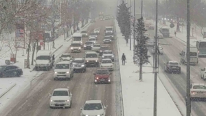 vanda-kar-yagisi-ve-sis-trafigi-olumsuz-etkiledi-EB4X32VQ.jpg