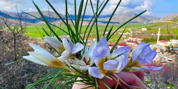 Baharın Büyüleyici Ahengi Gözleri Şaşırttı Baharın Büyüleyici Ahengi Gözleri Şaşırttı