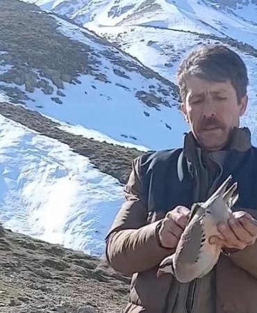 batmanda-duyarli-vatandas-sevdikten-sonra-buldugu-keklikleri-dogaya-ugurladi-Kf93uWF9.jpg