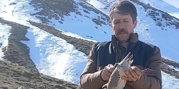 Batman'da Duyarlı Vatandaş, Sevdikten Sonra Bulduğu Keklikleri Doğaya Uğurladı Batman’da Duyarlı Vatandaş, Sevdikten Sonra Bulduğu Keklikleri Doğaya Uğurladı