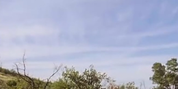 "Bizi Kim Alabilir?" Diyerek Tüfekle Havaya Ateş Açan 6 Kişi Gözaltına Alındı “Bizi Kim Alabilir?” Diyerek Tüfekle Havaya Ateş Açan 6 Kişi Gözaltına Alındı