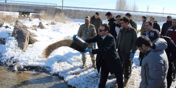 Çaldıran'da Yaban Hayvanları İçin Doğaya Besin Takviyesi Yapıldı Çaldıran’da Yaban Hayvanları İçin Doğaya Besin Takviyesi Yapıldı