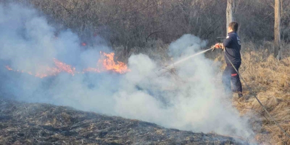 Darende’de Sazlık Alanında Meydana Gelen Büyüleyici Yangın Olayı