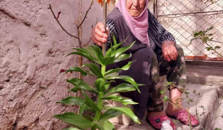diyarbakirda-90-yasindaki-kadinin-esinin-anisina-ters-lalelere-goz-bebegi-gibi-bakisi-PAtJ6ewS.jpg